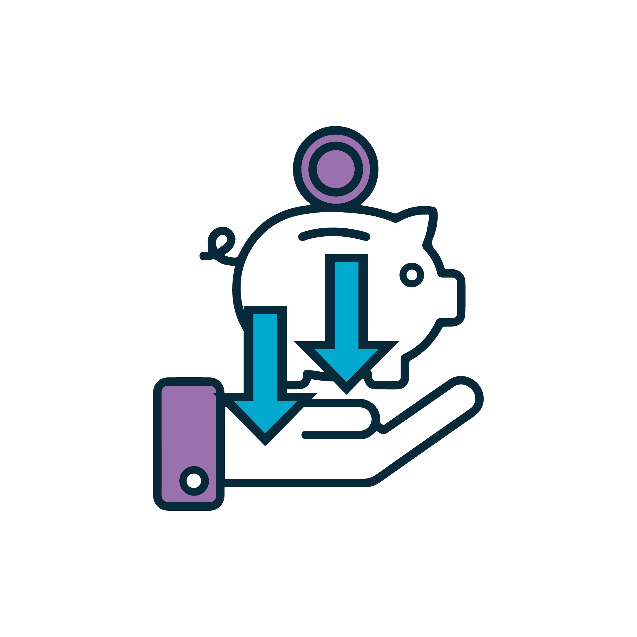 Keep Costs Down_icon